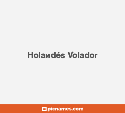 Holandés Volador